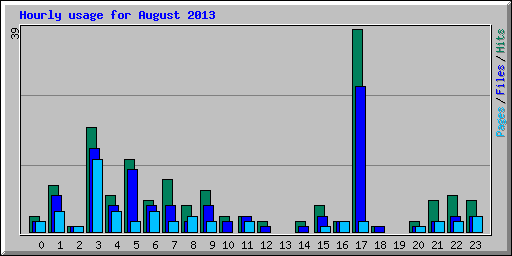 Hourly usage for August 2013