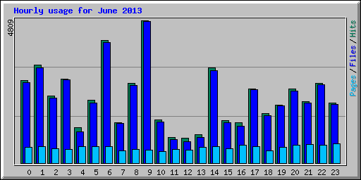 Hourly usage for June 2013