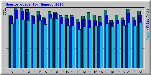 Hourly usage for August 2013