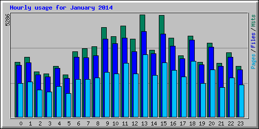 Hourly usage for January 2014