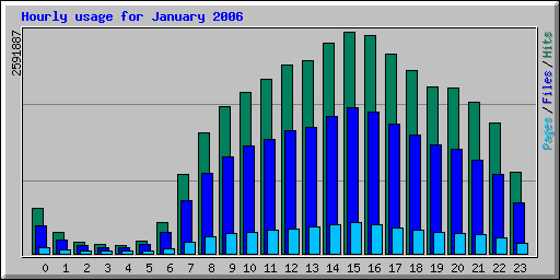 Hourly usage for January 2006