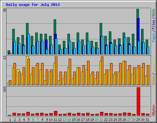 Daily usage for July 2013