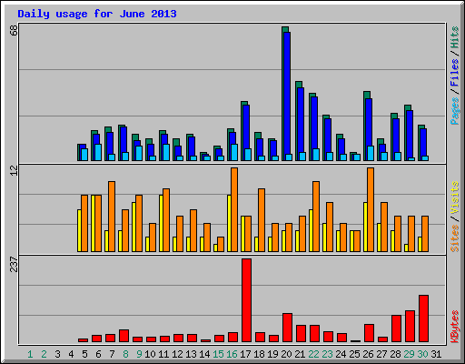 Daily usage for June 2013