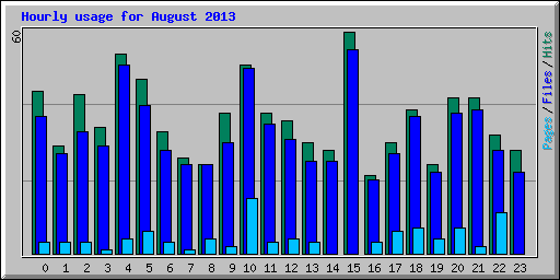 Hourly usage for August 2013