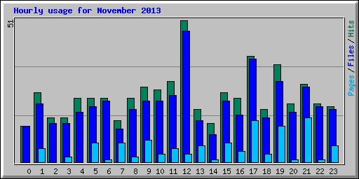 Hourly usage for November 2013