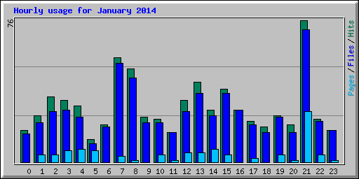 Hourly usage for January 2014