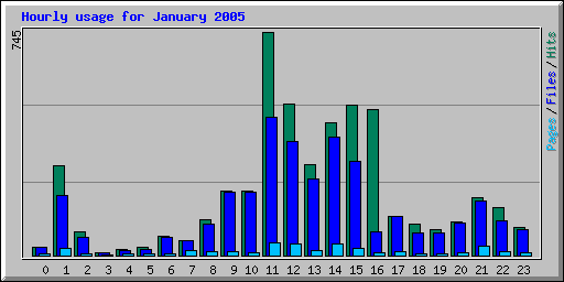 Hourly usage for January 2005