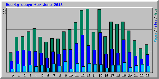 Hourly usage for June 2013