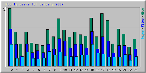 Hourly usage for January 2007