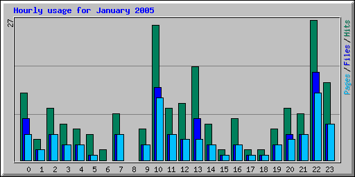 Hourly usage for January 2005