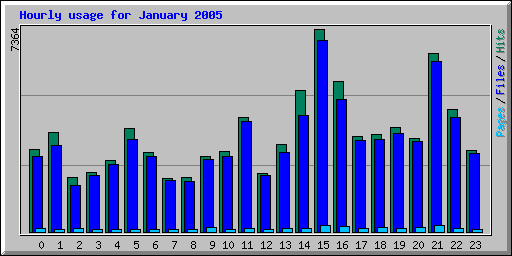 Hourly usage for January 2005